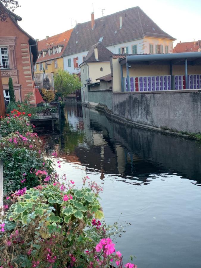 Smart Home Roma Mit Terrasse, Europapark, Rulantica 15Min Boofzheim Bagian luar foto